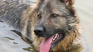 можно поймать не только рибу