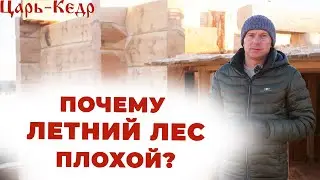 Почему ЛЕТНИЙ ЛЕС плохой? Строительство из бревна. Баня из кера.