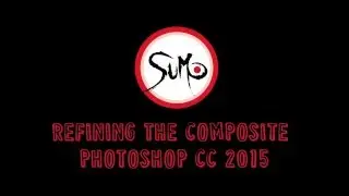 Refining the Composite 101