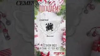 Маленькая гадалочка:)