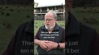 Australian Duck Whisperer Bob Lewis inspirational Bush Poem #shorts #inspiration #gratitude #story