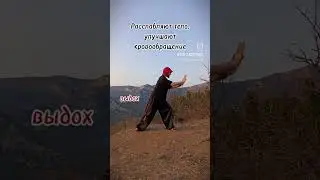 #цигун_костенко