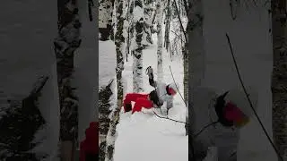 Губаха - Вы не готовы все