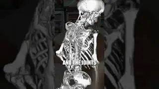You Will SERIOUSLY Regret Watching This...