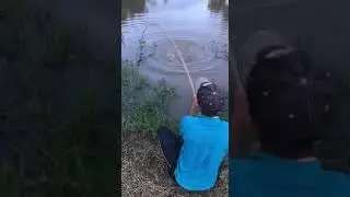 Мощная поклёвка.