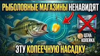 Биология пищевого сигнала: почему вареные макароны ловят лучше живой насадки за 20 долларов