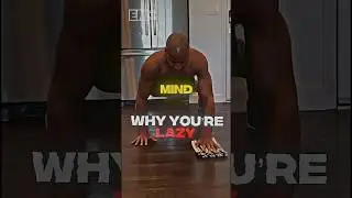 David Goggins On Why You’re Lazy 