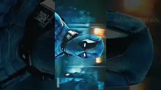 Deadpool atitude status 🔥/(#avengers #deadpool #marvel #mcu )