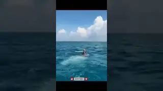 Zakir Naik dives
