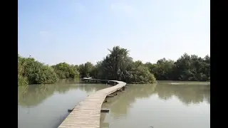 שמורת טבע עין אפק Ein Afek nature reserve