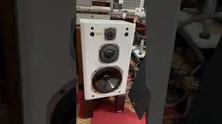 White Yamaha ns 1000x