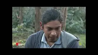 20210829 SBS chilean indigenous war on forestry