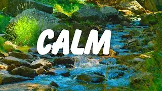 CALM: 90 Minutes of Pure Relaxation: Unwind Your Mind