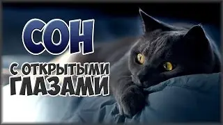 ВОЗМОЖЕН ЛИ СОН С ОТКРЫТЫМИ ГЛАЗАМИ?