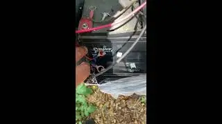 Mansfield Gate Repair - Troubleshooting Gate Issues: Battery and Wiring