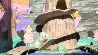 🍃Hamster In Elven City🐹