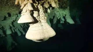 Дайвинг в Мексике (Юкатан) - Diving in Mexico, Yucatán