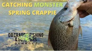 SPRING CRAPPIE FISHING 2022 || REHABILITATING MONSTER SPRING CRAPPIE