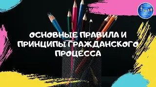 Основные правила и принципы гражданского процесса