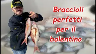 BRACCIOLI PERFETTI PER IL BOLENTINO