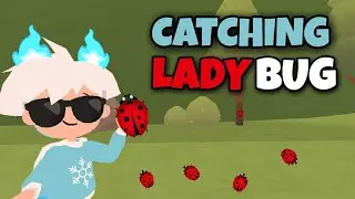 Catching Ladybug 🐞 | Play Together