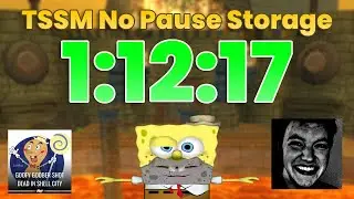TSSM No Pause Storage Speedrun 1:12:17