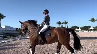 Fernando schooling GP Global February 2023