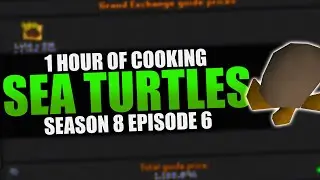 Cooking Sea Turtles | Testing OSRS Wiki Money Making Methods | Money Making Guide 2023