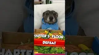 Я и золотые билеты в Co-op