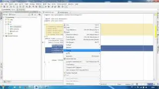[ProgramadorNovato.com]Trabajando con Struts2 tags select