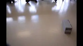 squeak