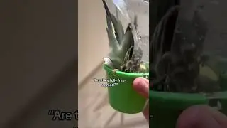 Wdym 🥲 