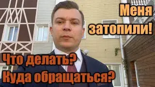 Затопили соседи? Что делать? Как забрать свое?!!