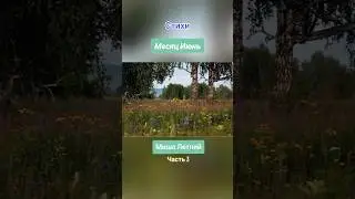 #МесяцИюнь #Стихи #МишаЛетний #Июнь #Часть3
