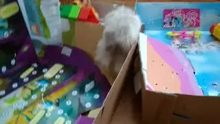 Дом для хомичка