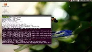 How to Update & Upgrade ubuntu 16.04 and later versions