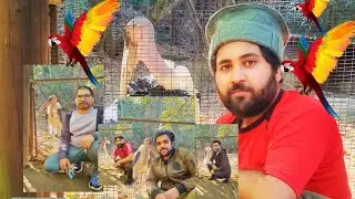 Ajj Hum Ap ko South Africa 🇿🇦 Mein Birds 🐦 Park Ka Visit karwte hain  🇿🇦 {MY #5 VLoG } #animal