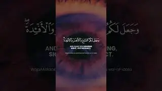 Surat Al-Mulk Challenge | Verse 23 | Memorize One Verse Each Day