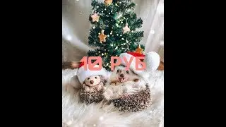 Делаю интро на заказ ||10 руб||