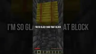 Smartest Minecraft Player (6900+ iq)
