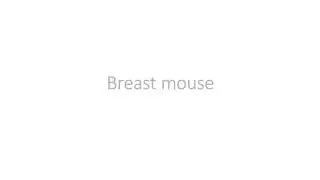 Breast mouse