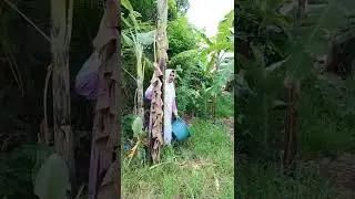 kalian pernah kemah gak?