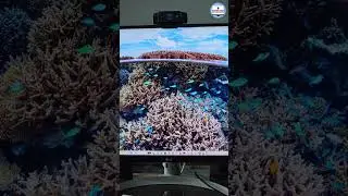 Dji mic 2 connect to Computer!