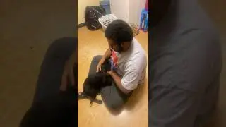 Me Playing with Missy (2023) 🐶🐾