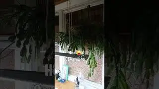 #обзор