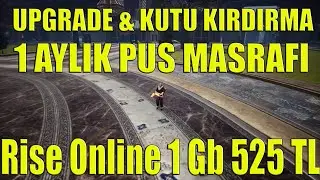 Rise Online 1 Gb 525 TL | 1 Aylık Pus Masrafı | Kutu Kırdırma ve Upgrade