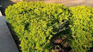Sample 1080p (FHD) video recorded in Asus Zenfone 3 Laser