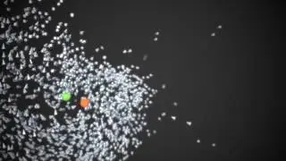 Flocking-004