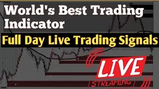Make Money MT4 Dash King Trading System | Live Strategy Testing Part 2