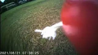 Astrocam, Flight 5